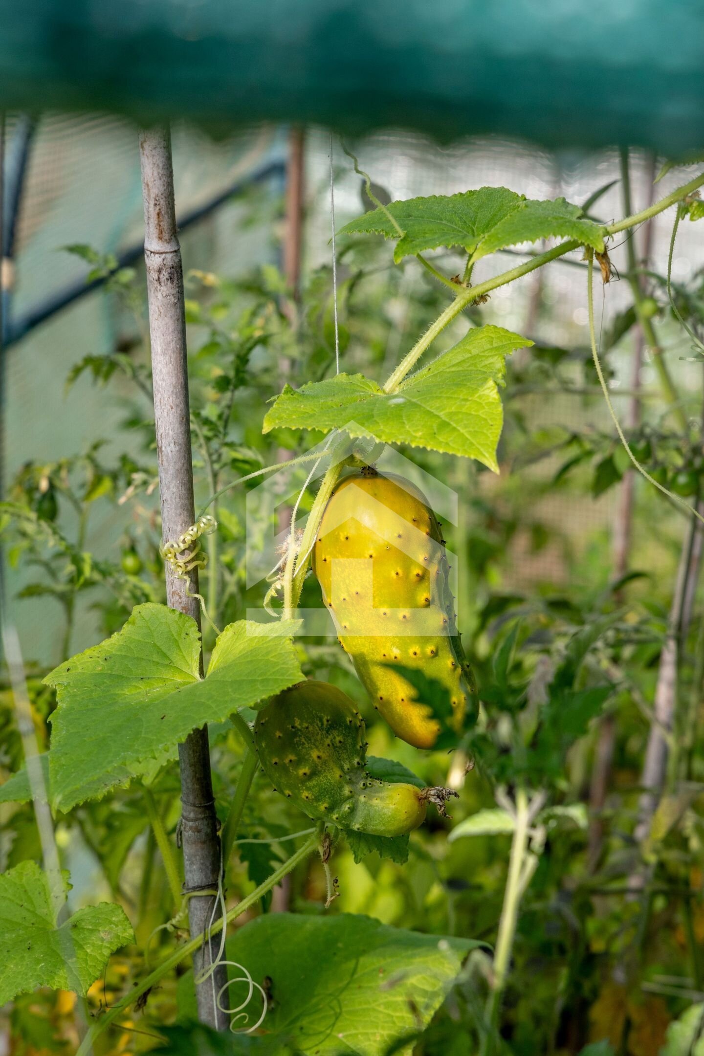 Lebensqualität pur in Schweden: Wellness-Villa mit Meerblick und Sauna im Herzen von Småland