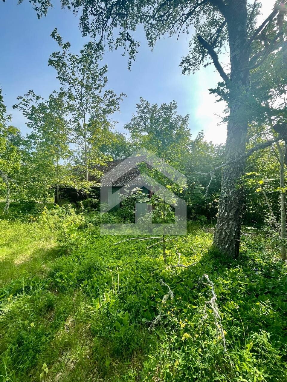 Dein eigenes Fleckchen Erde in Schweden: Verwirkliche dein Småland-Glück mit einem Schwedenhaus nahe am Wasser!