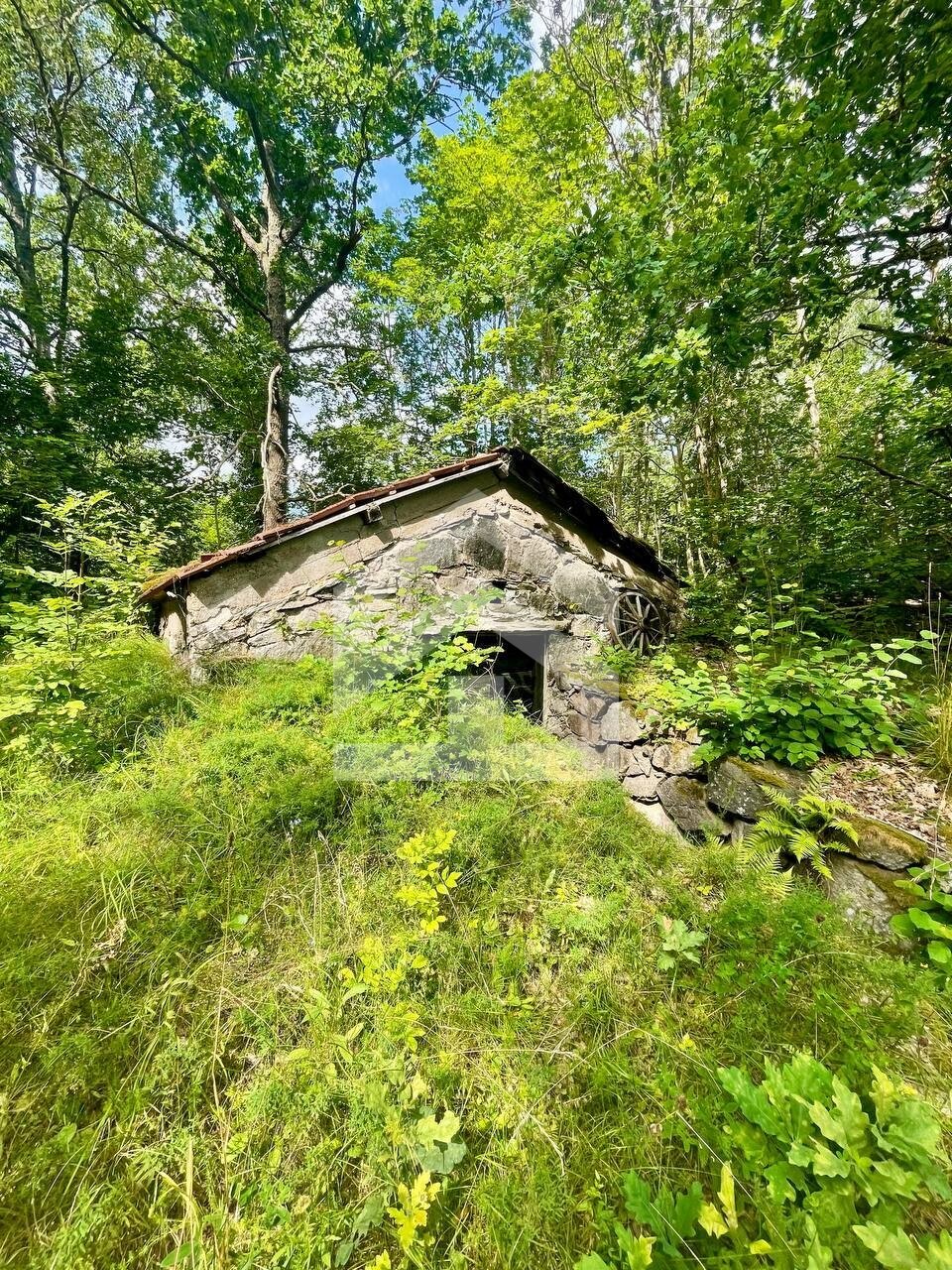 Traumhaftes Natur-Refugium in Schweden: Charmantes Haus / Ferienhaus / Torp mit riesigem Naturgrundstück in Småland.